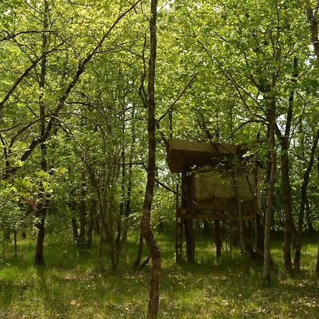 Les Noyers