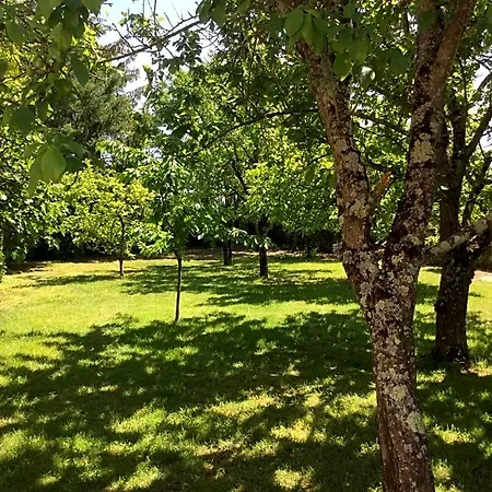 Bed & Breakfast Les Noyers Aulnay (Charente-Maritime)